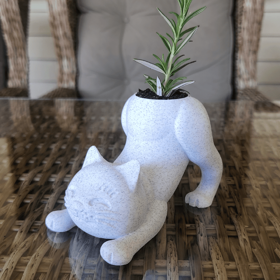 Cat Butt ๐ - Naughty Planter