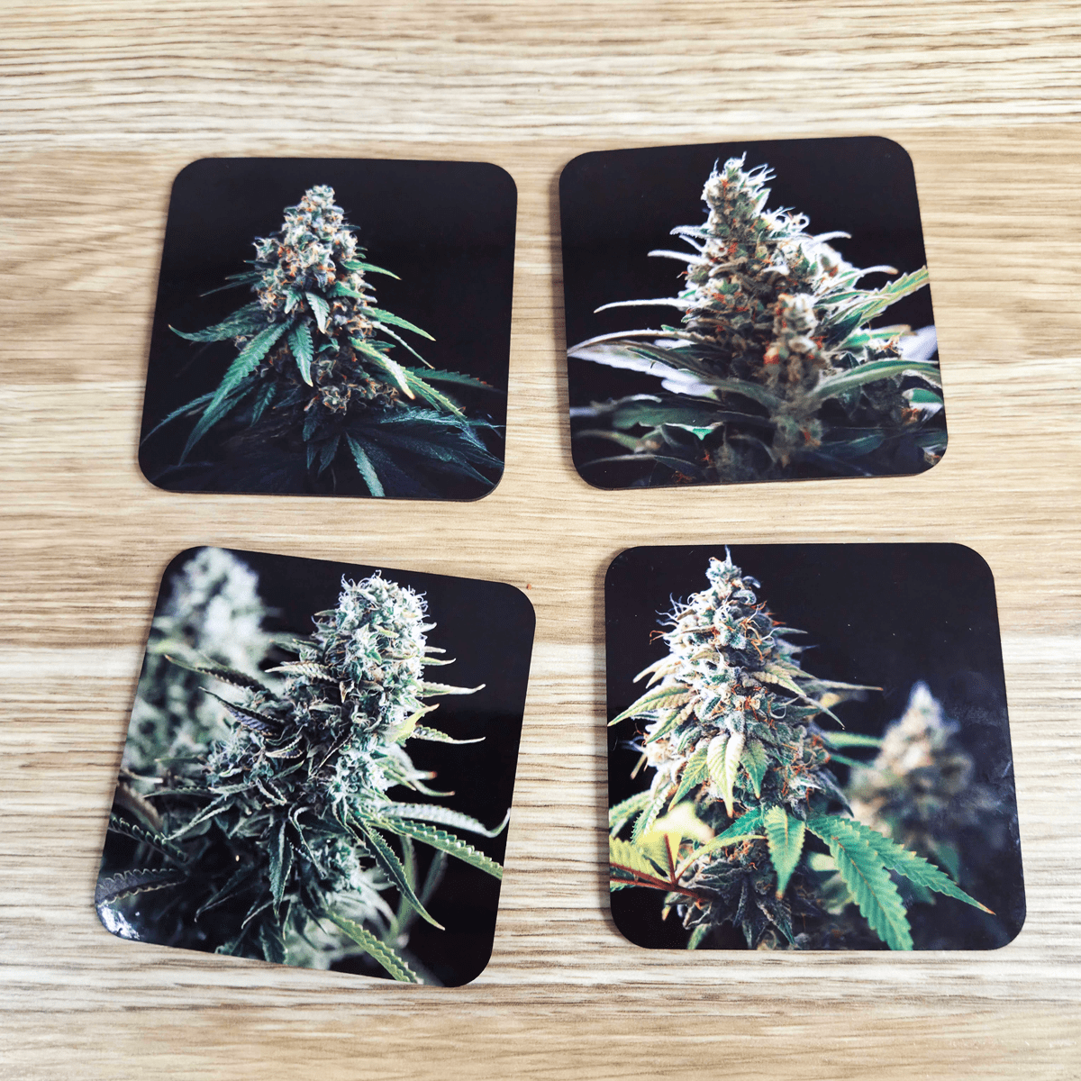 Cork-Base + Hard Surface 420 (4-Pack) - Coaster Set