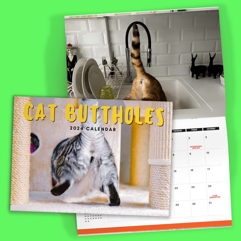 Cute Cat Butts 🐱🍑 - 2024 Calendar