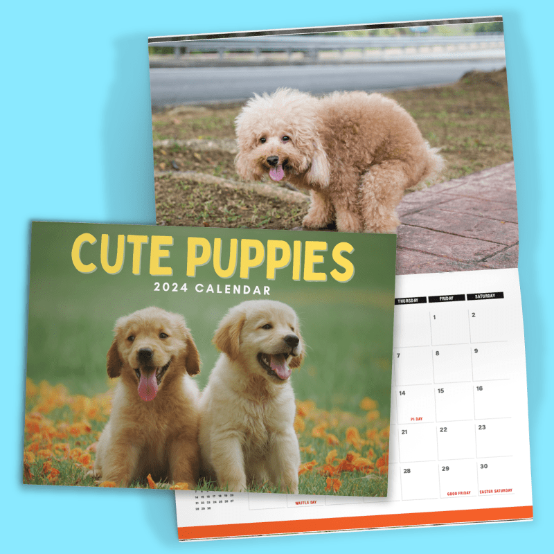 Cute Puppies Prank 🐶😈 - 2024 Calendar