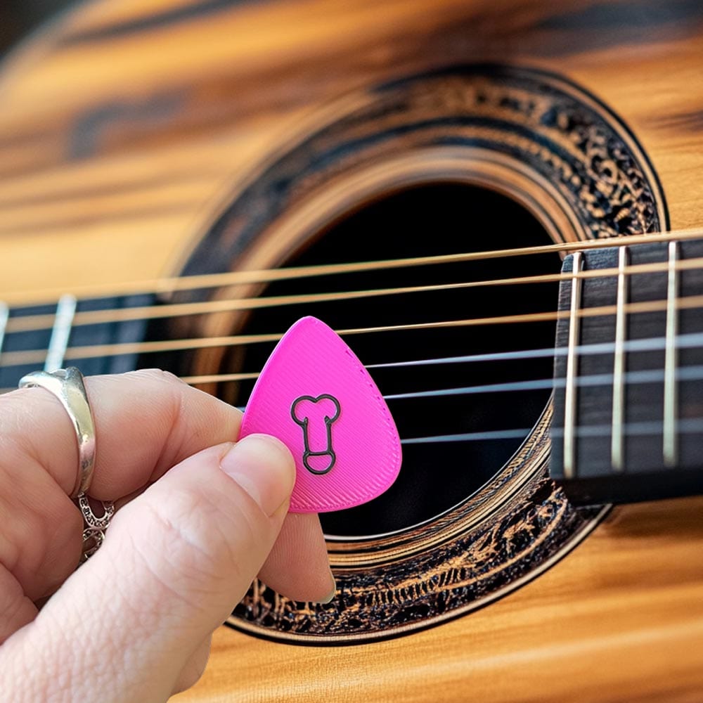 Dic Pics (8-Pack) ๐ธ๐ - Funny Guitar Accessory