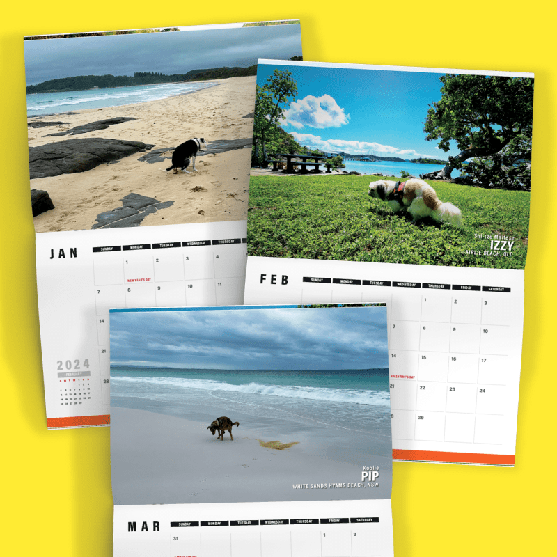 Dogs Pooping in 'Australian' Beautiful Places 💩🐶 - 2024 Calendar