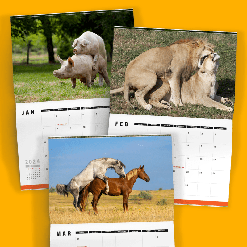 Humping Animals 🐦🐝 - 2024 Calendar