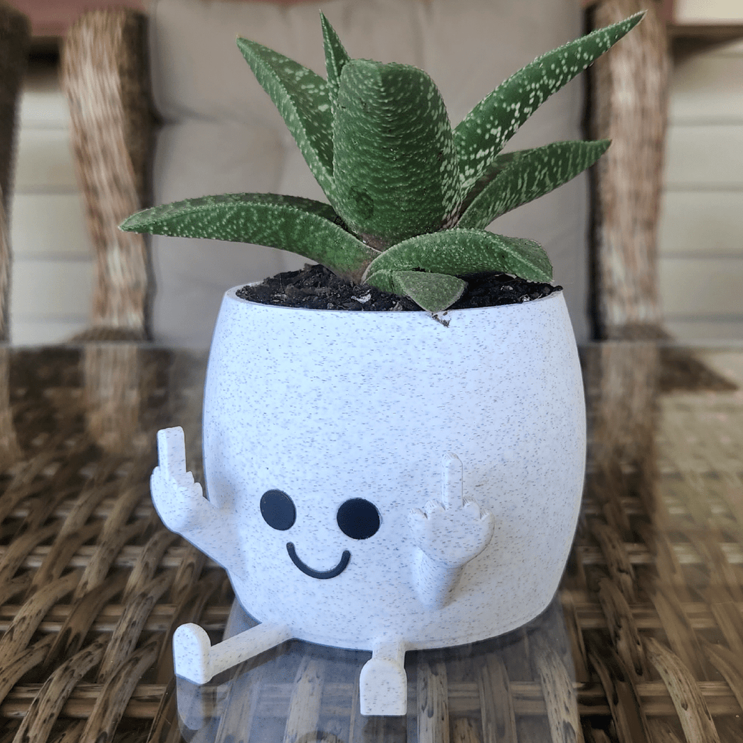 Sassy & Happy ๐ - Naughty Planter / Pen Holder