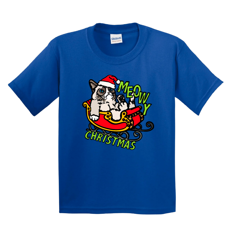 XS / Blue / Large Front Design Grumpy Cat Christmas ๐พ๐- Youth T Shirt
