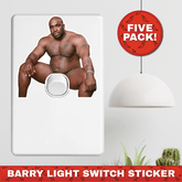 Big Barry đđĄ - Light Switch Sticker Prank (5 Pack!)