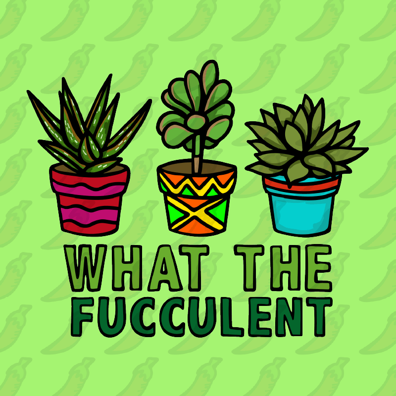 What The Fucculent 🌵 – Stubby Holder