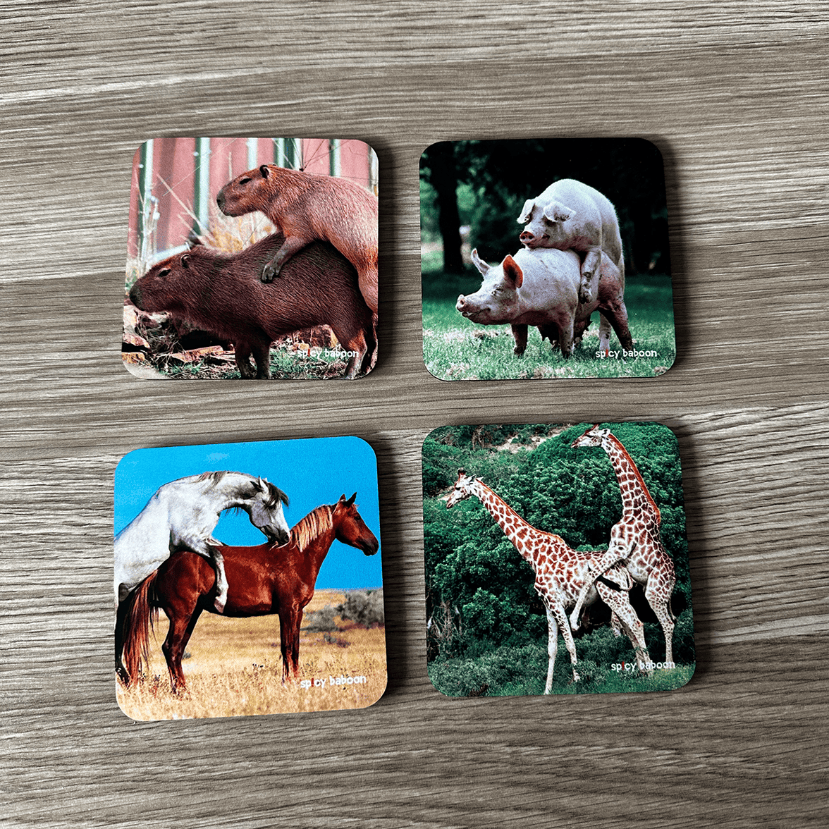 Animals Humping (4-Pack) - Coaster Set  🐎🐖