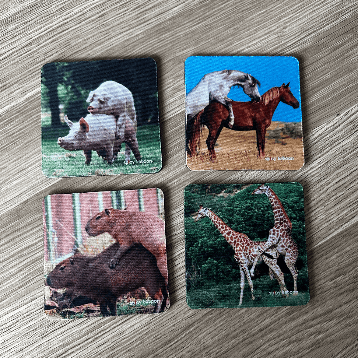 Animals Humping (4-Pack) - Coaster Set  🐎🐖