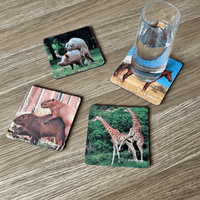 Animals Humping (4-Pack) - Coaster Set  🐎🐖