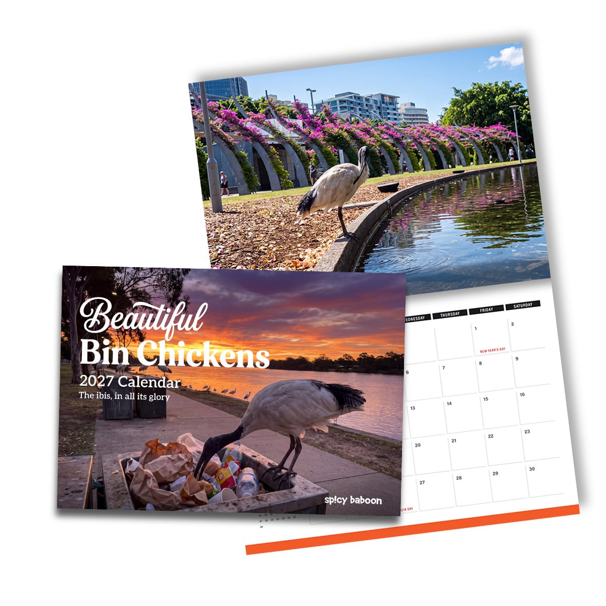 Beautiful Bin Chickens 🗑️🐔- 2027 Calendar