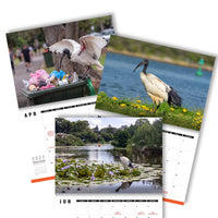 Beautiful Bin Chickens 🗑️🐔- 2027 Calendar