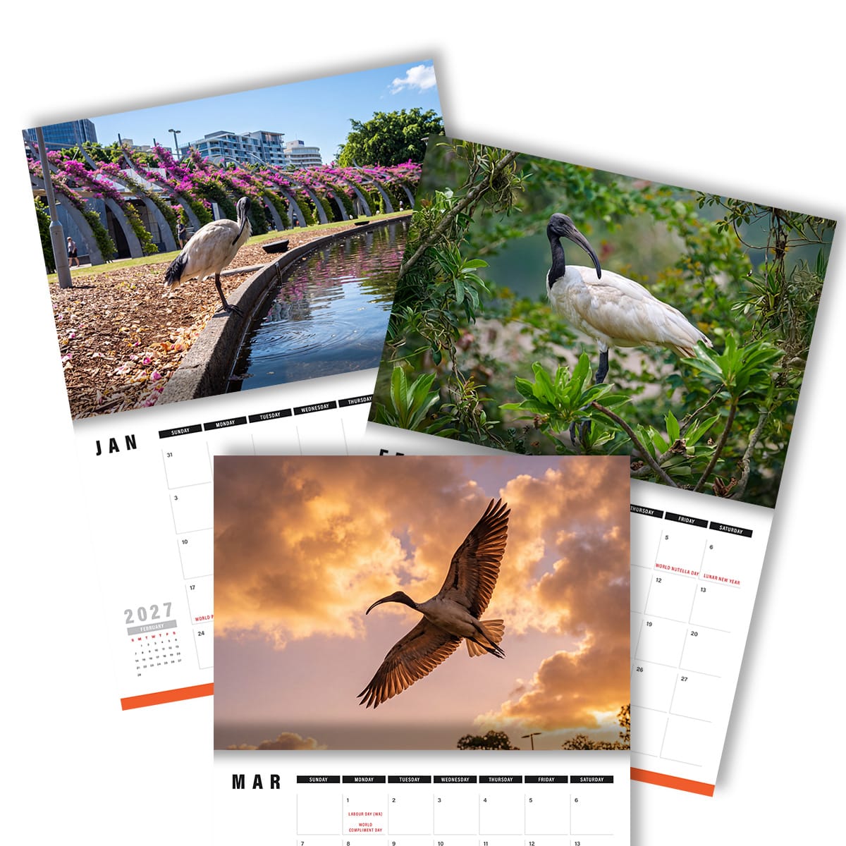 Beautiful Bin Chickens 🗑️🐔- 2027 Calendar