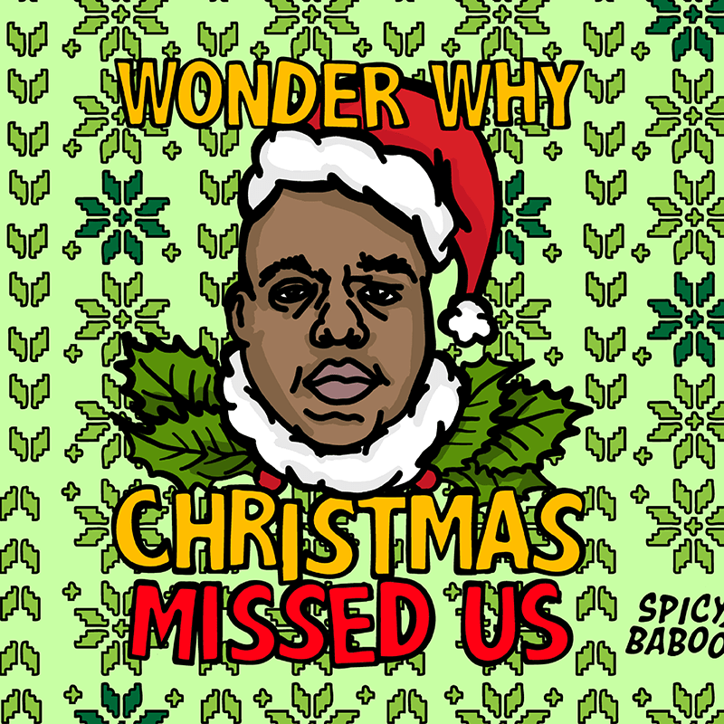 BIG Christmas 🎤🎅 - Stubby Holder