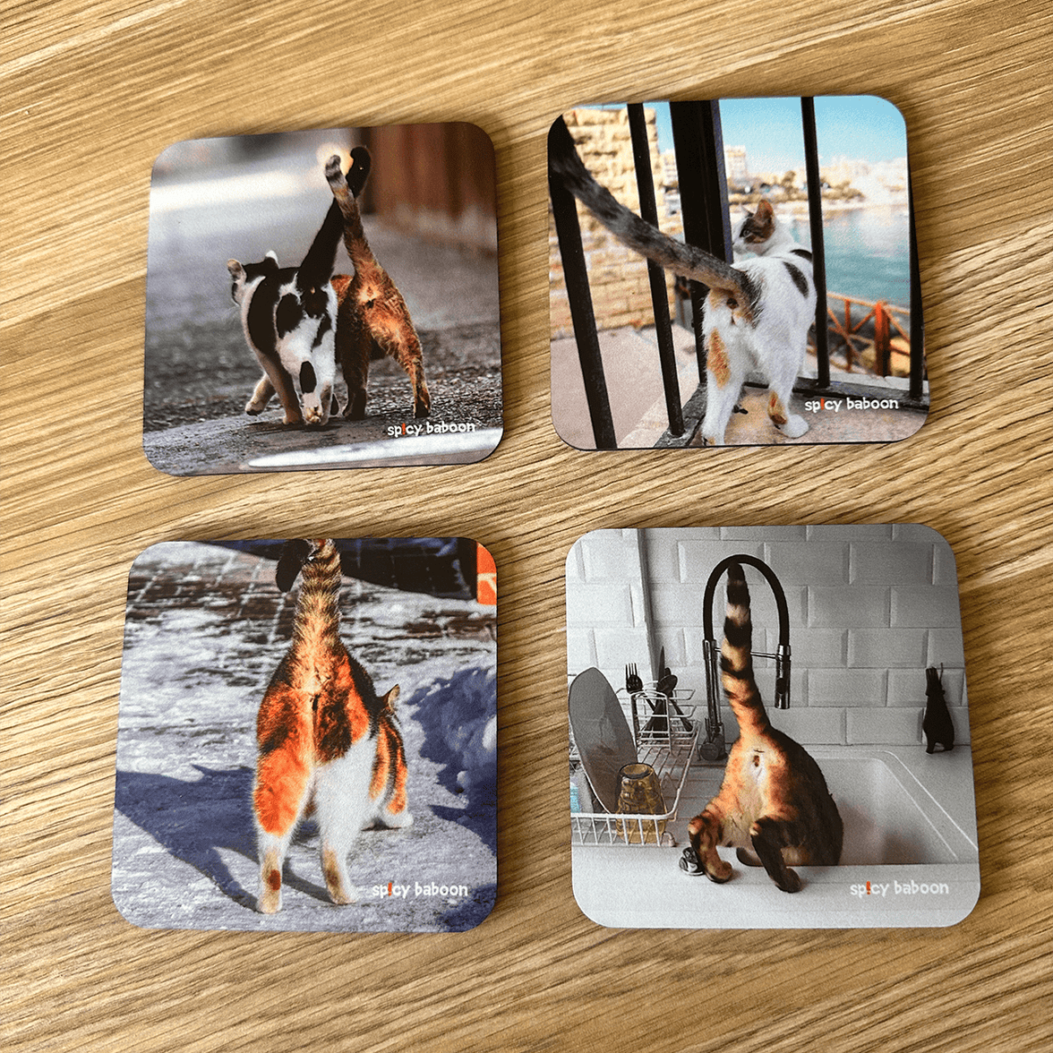 Cats Bums (4-Pack) - Coaster Set 🐈😹