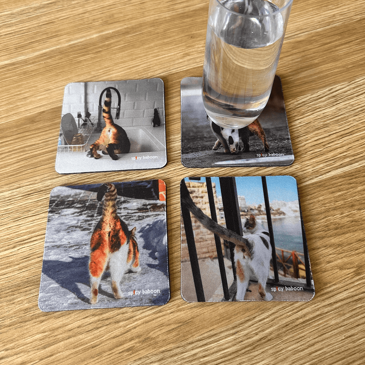 Cats Bums (4-Pack) - Coaster Set 🐈😹