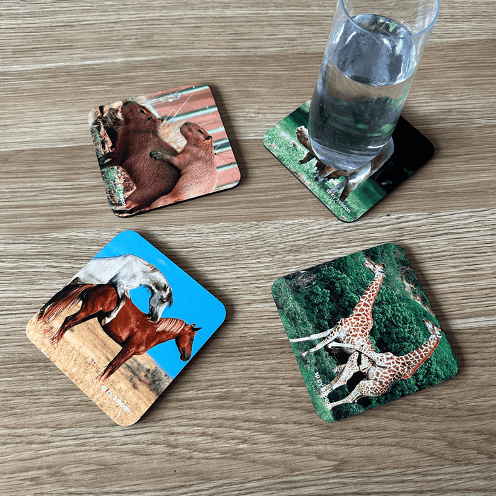 Cork-Base + Hard Surface Animals Humping (4-Pack) - Coaster Set  🐎🐖