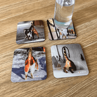 Cork-Base + Hard Surface Cats Bums (4-Pack) - Coaster Set 🐈😹
