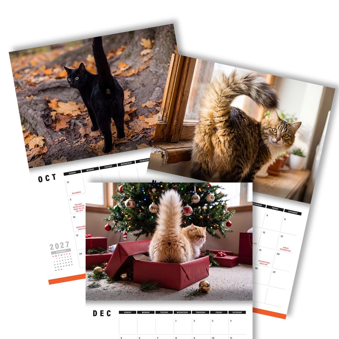 Cute Cat Buttholes 🐱🍑 - 2027 Calendar