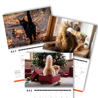 Cute Cat Buttholes 🐱🍑 - 2027 Calendar