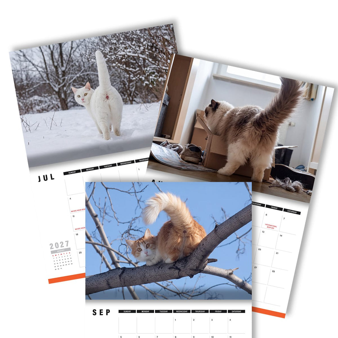 Cute Cat Buttholes 🐱🍑 - 2027 Calendar