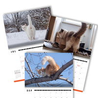 Cute Cat Buttholes 🐱🍑 - 2027 Calendar