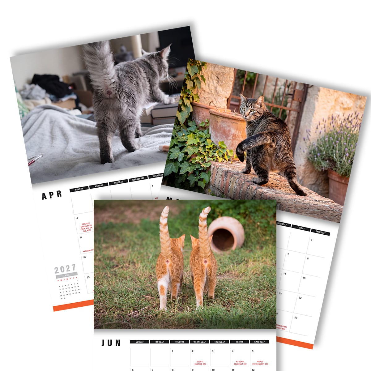 Cute Cat Buttholes 🐱🍑 - 2027 Calendar