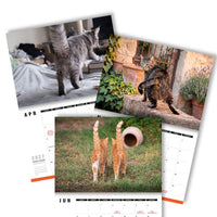 Cute Cat Buttholes 🐱🍑 - 2027 Calendar
