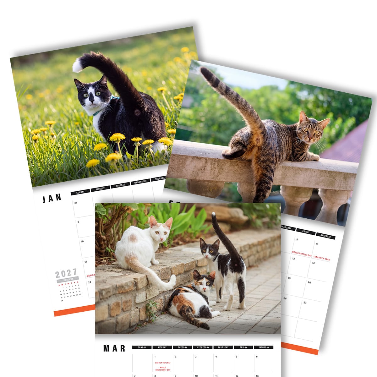 Cute Cat Buttholes 🐱🍑 - 2027 Calendar