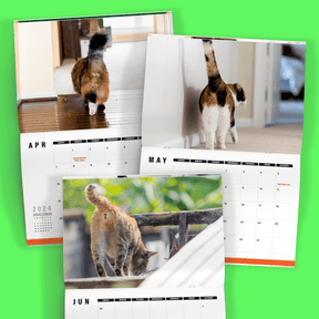 Cute Cat Butts 🐱🍑 - 2024 Calendar