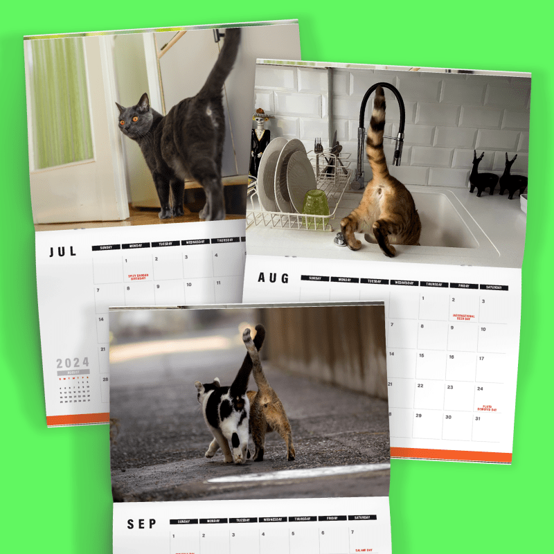 Cute Cat Butts 🐱🍑 - 2024 Calendar