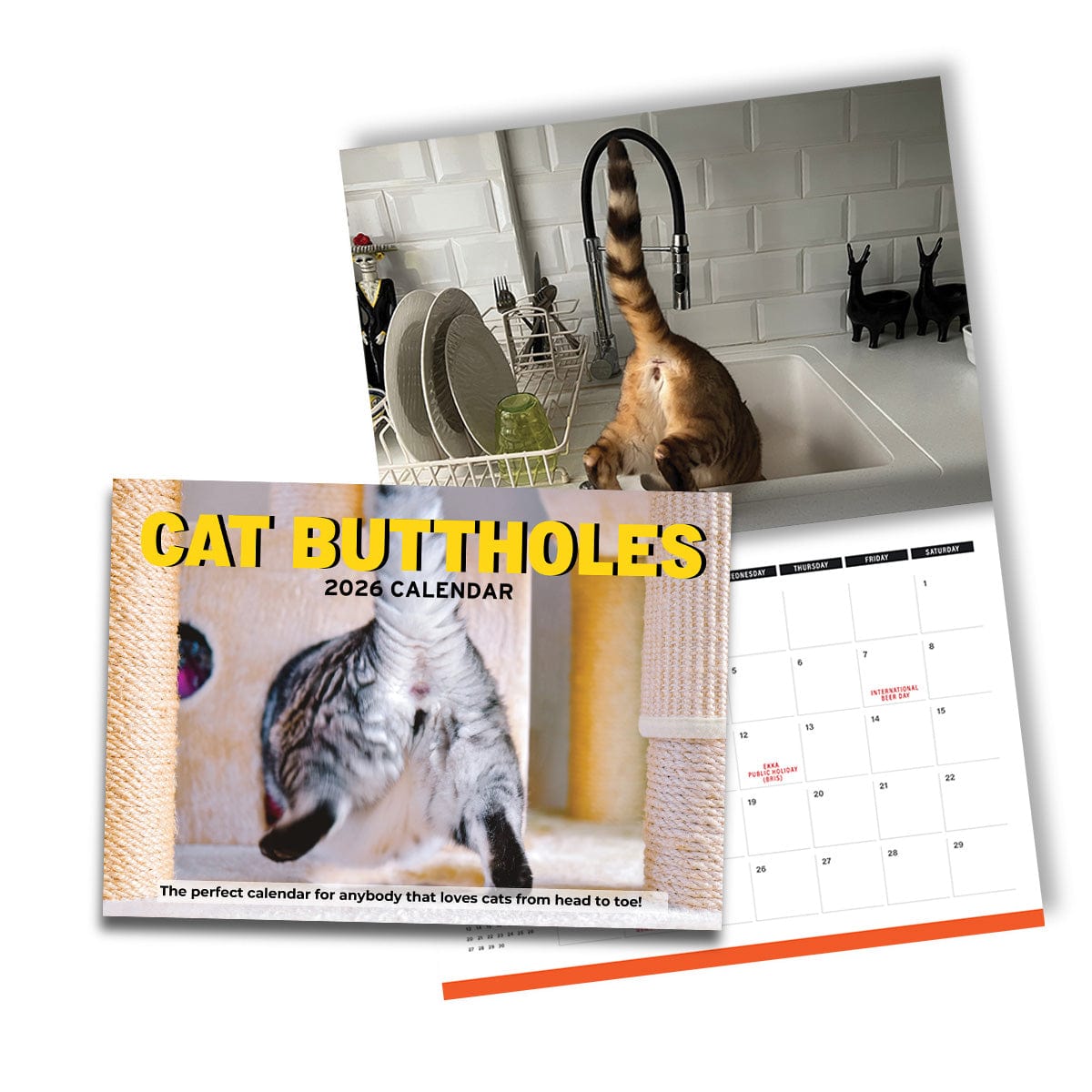 Cute Cat Butts 🐱🍑 - 2026 Calendar