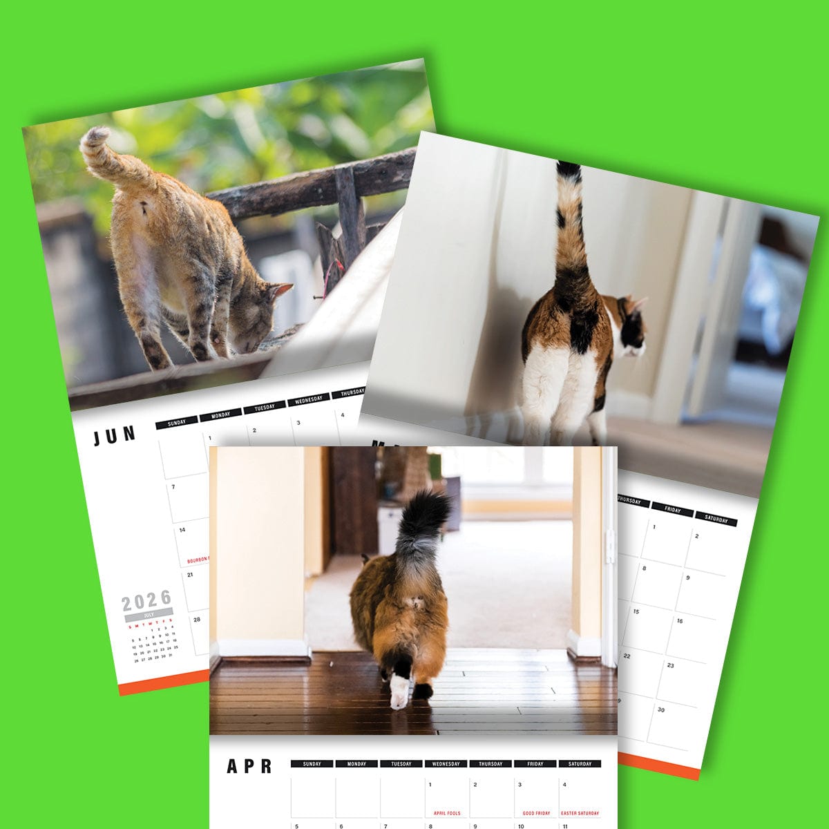 Cute Cat Butts 🐱🍑 - 2026 Calendar