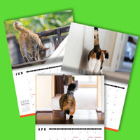 Cute Cat Butts 🐱🍑 - 2026 Calendar