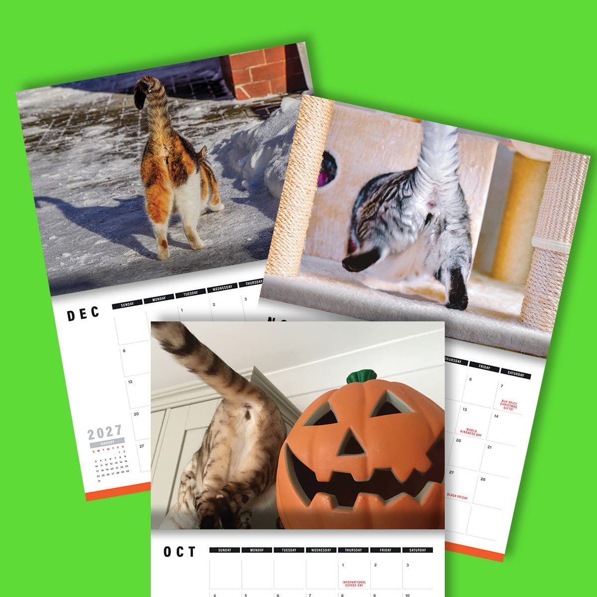 Cute Cat Butts 🐱🍑 - 2026 Calendar