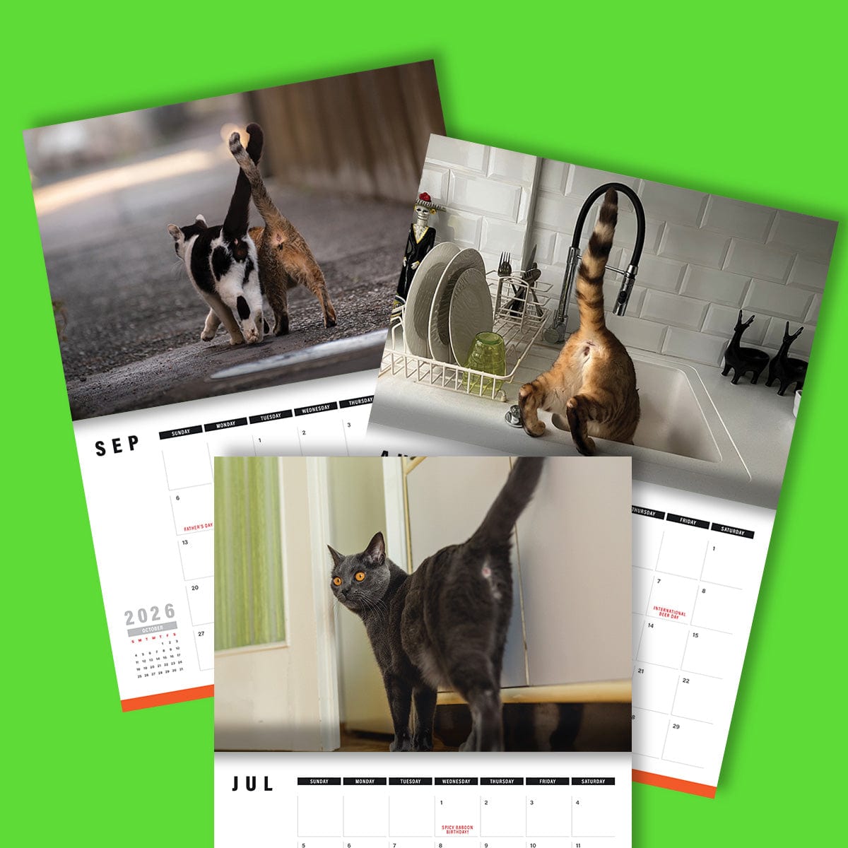 Cute Cat Butts 🐱🍑 - 2026 Calendar