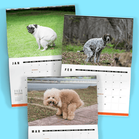 Cute Puppies Prank 🐶😈 - 2024 Calendar