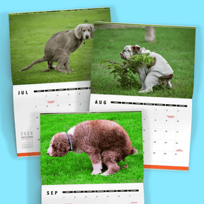 Cute Puppies Prank 🐶😈 - 2024 Calendar