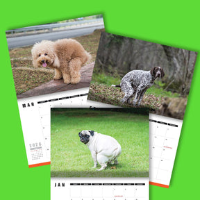 Cute Puppies Prank 🐶😈 - 2026 Calendar