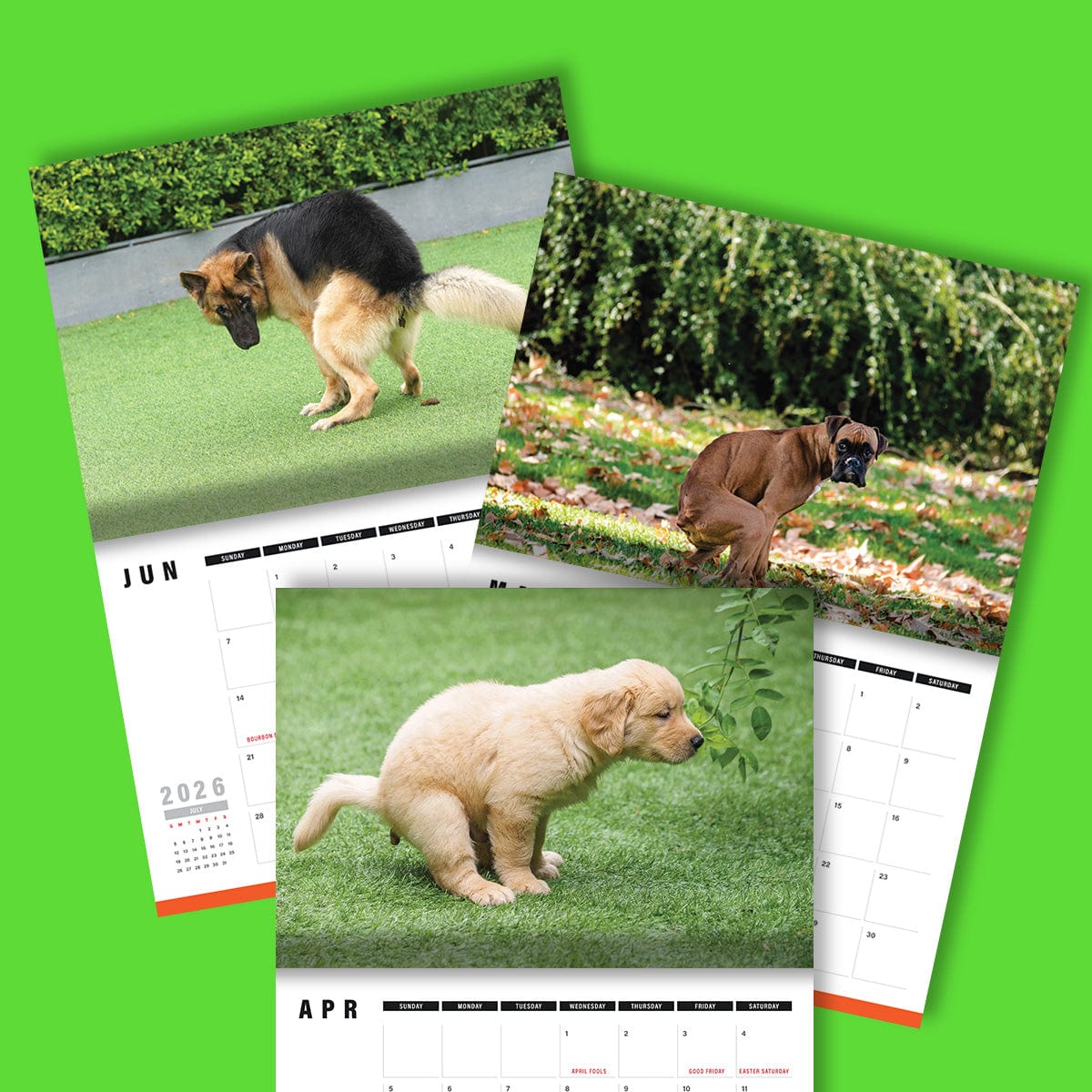 Cute Puppies Prank 🐶😈 - 2026 Calendar