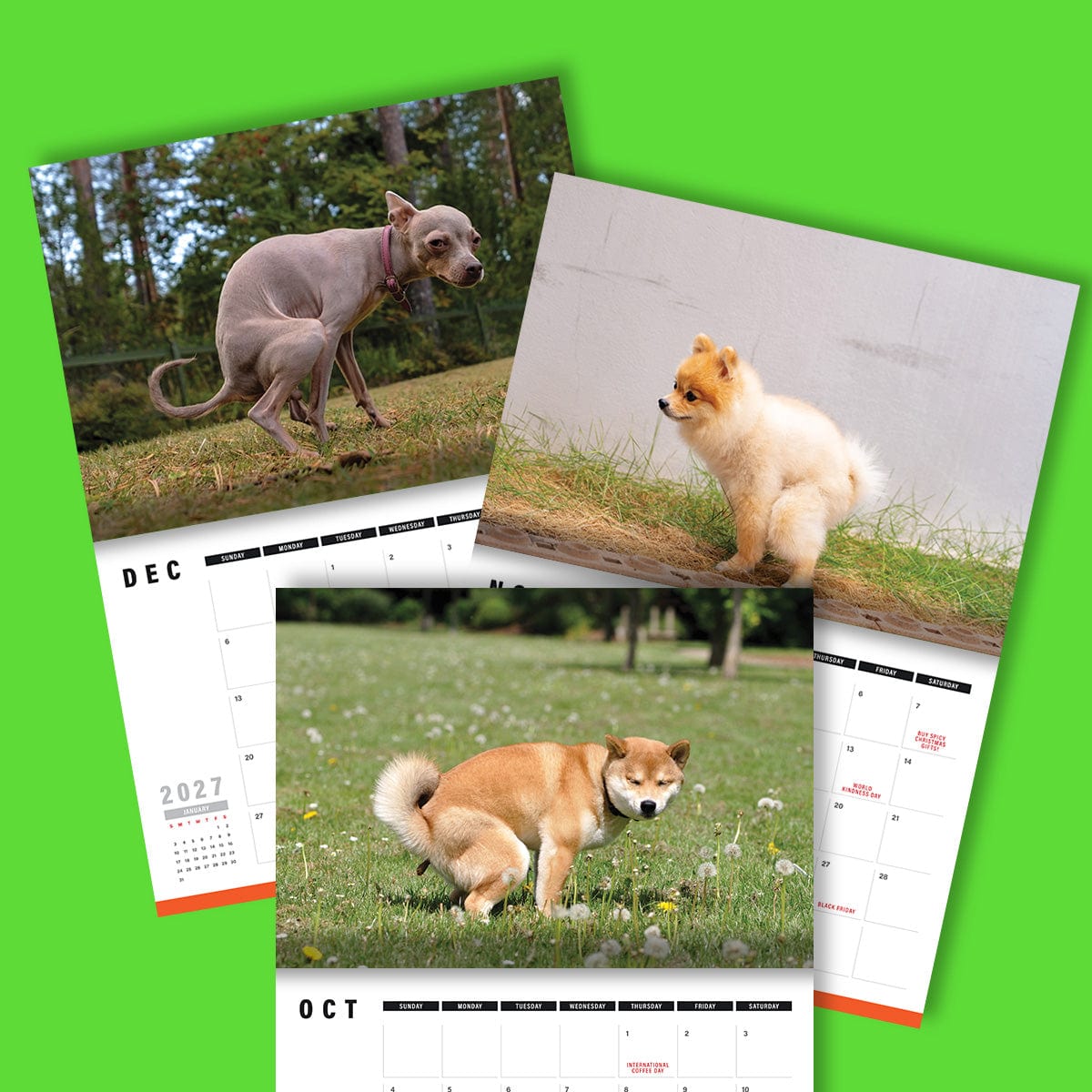 Cute Puppies Prank 🐶😈 - 2026 Calendar