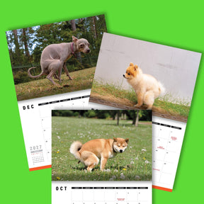 Cute Puppies Prank 🐶😈 - 2026 Calendar