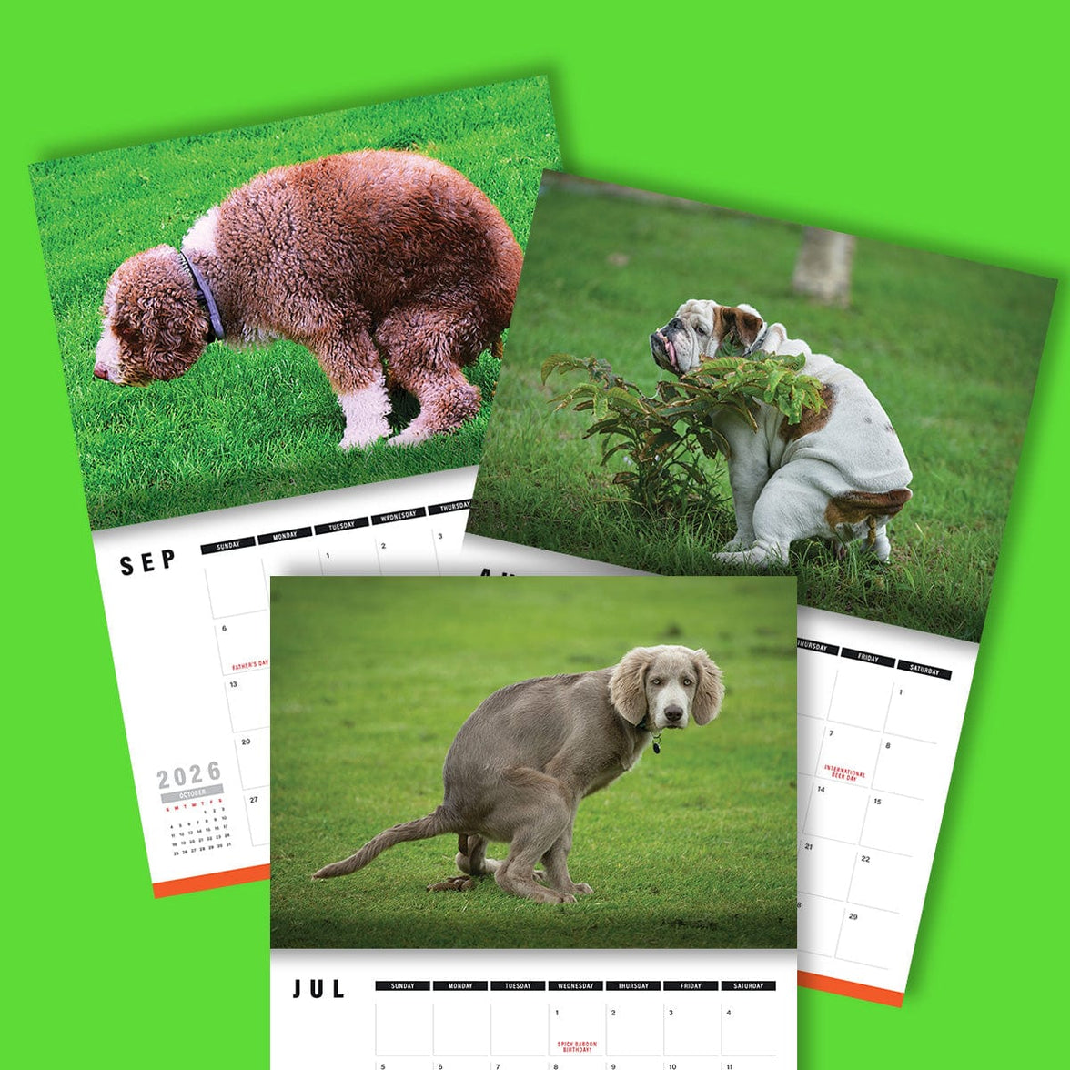Cute Puppies Prank 🐶😈 - 2026 Calendar