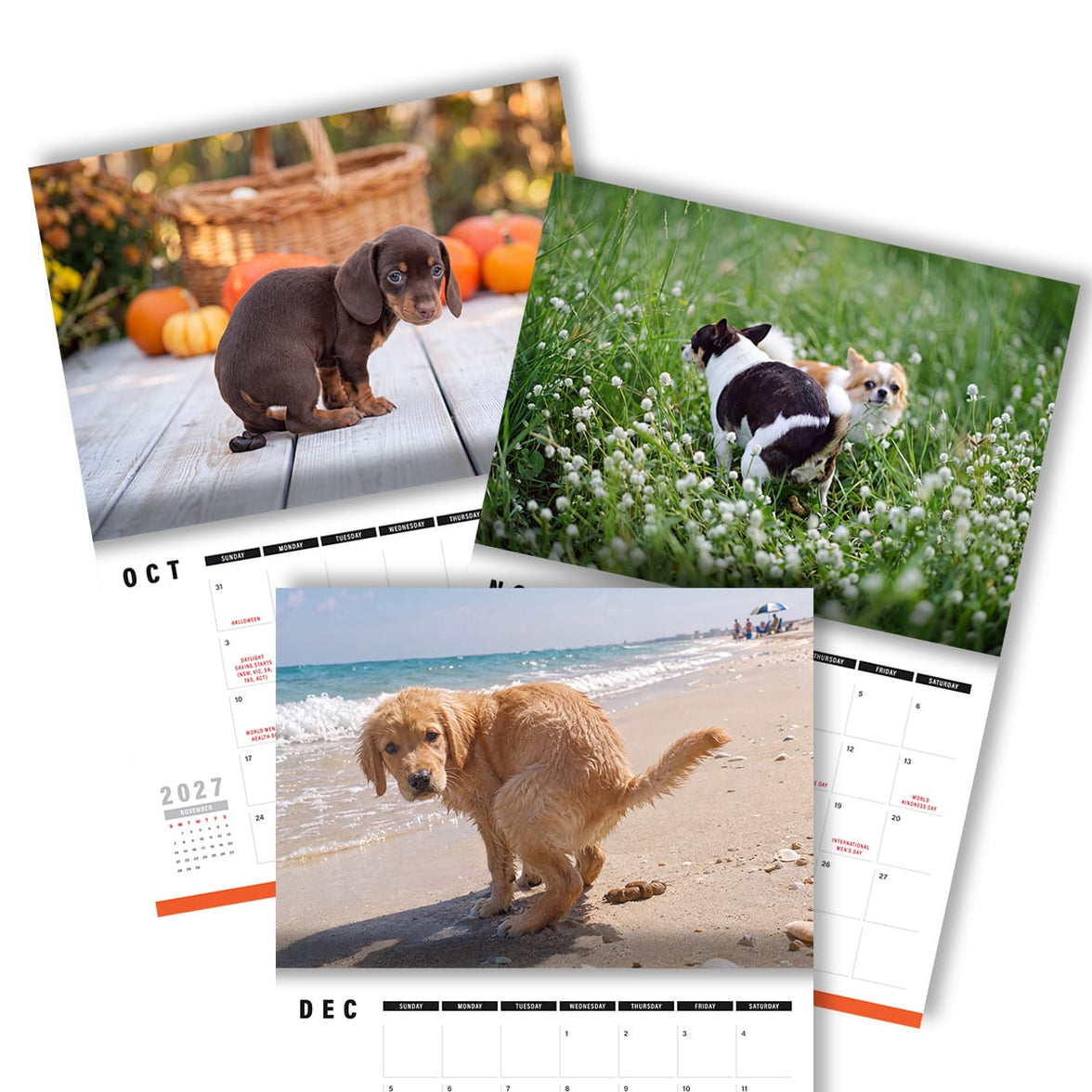 Cute Puppies Prank 🐶😈 - 2027 Calendar