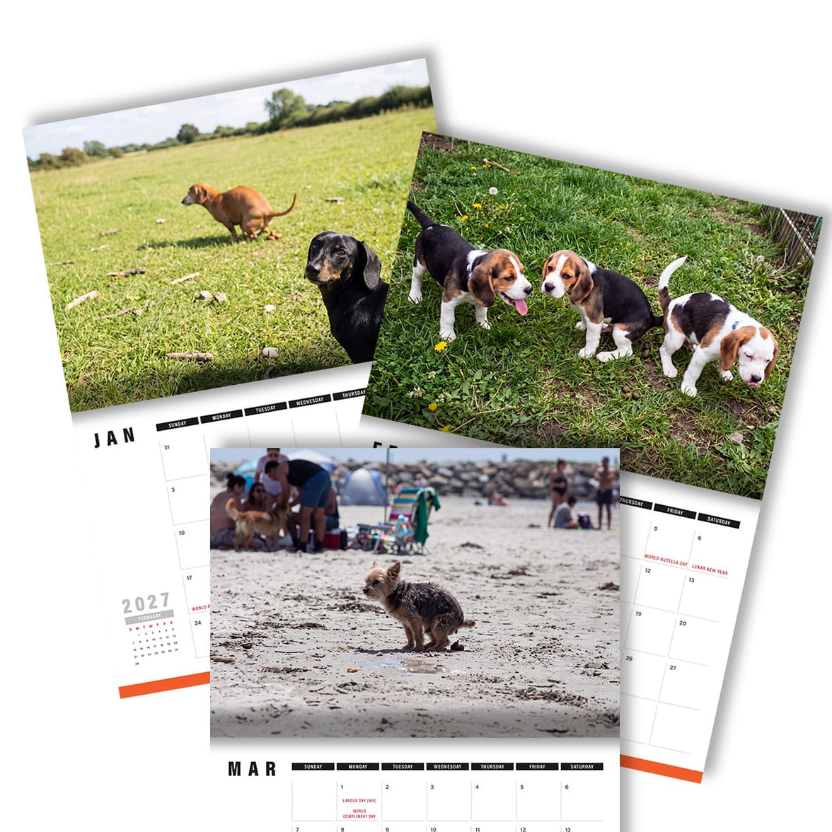 Cute Puppies Prank 🐶😈 - 2027 Calendar