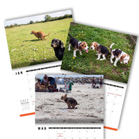 Cute Puppies Prank 🐶😈 - 2027 Calendar