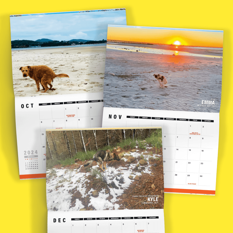 Dogs Pooping in 'Australian' Beautiful Places 💩🐶 - 2024 Calendar