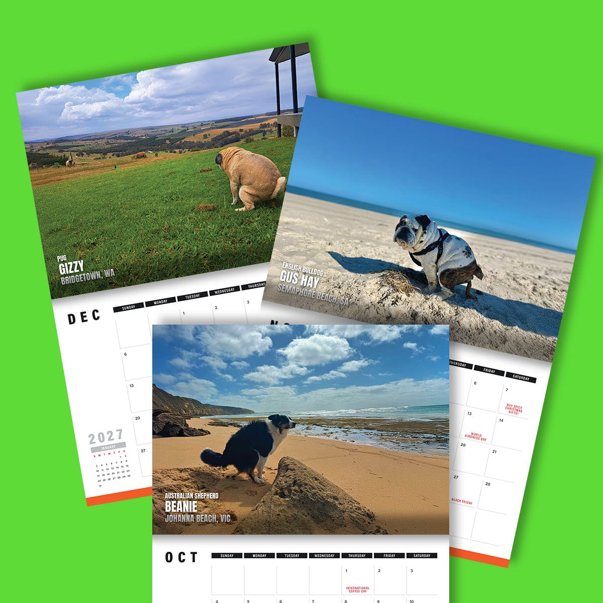 Dogs Pooping in Beautiful 'Australian' Places 💩🐶 - 2025 Calendar