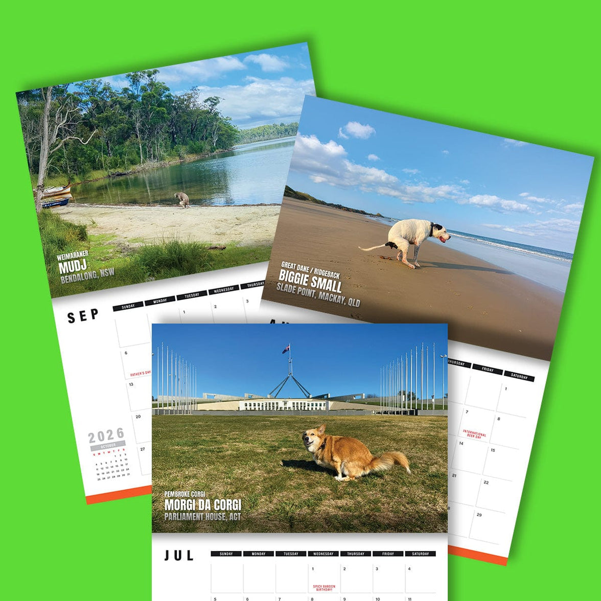 Dogs Pooping in Beautiful 'Australian' Places 💩🐶 - 2025 Calendar