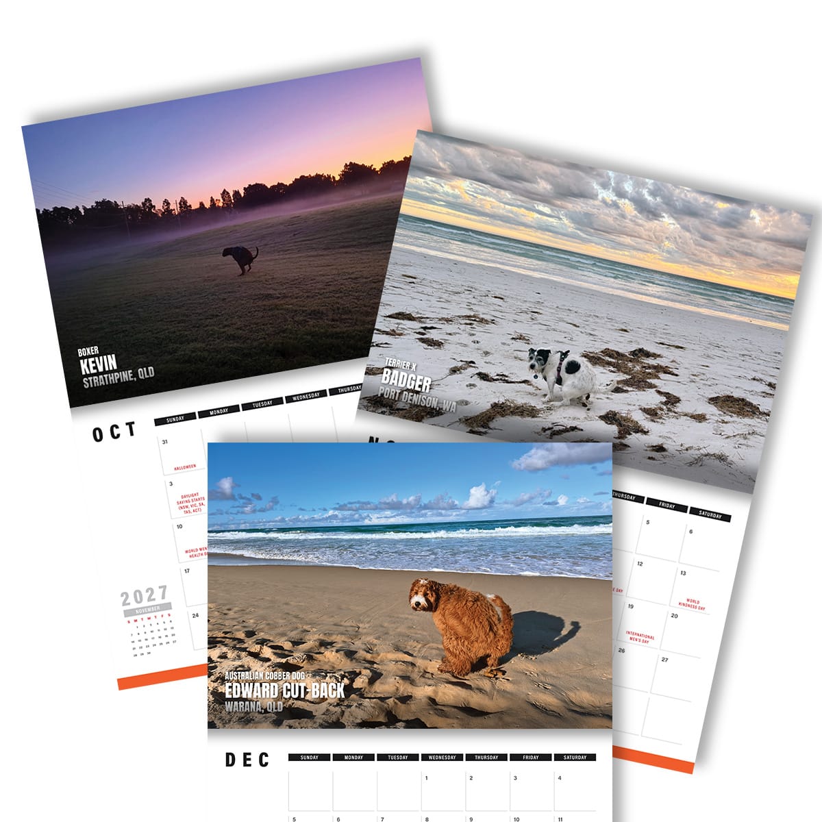 Dogs Pooping in Beautiful 'Australian' Places 💩🐶 - 2027 Calendar